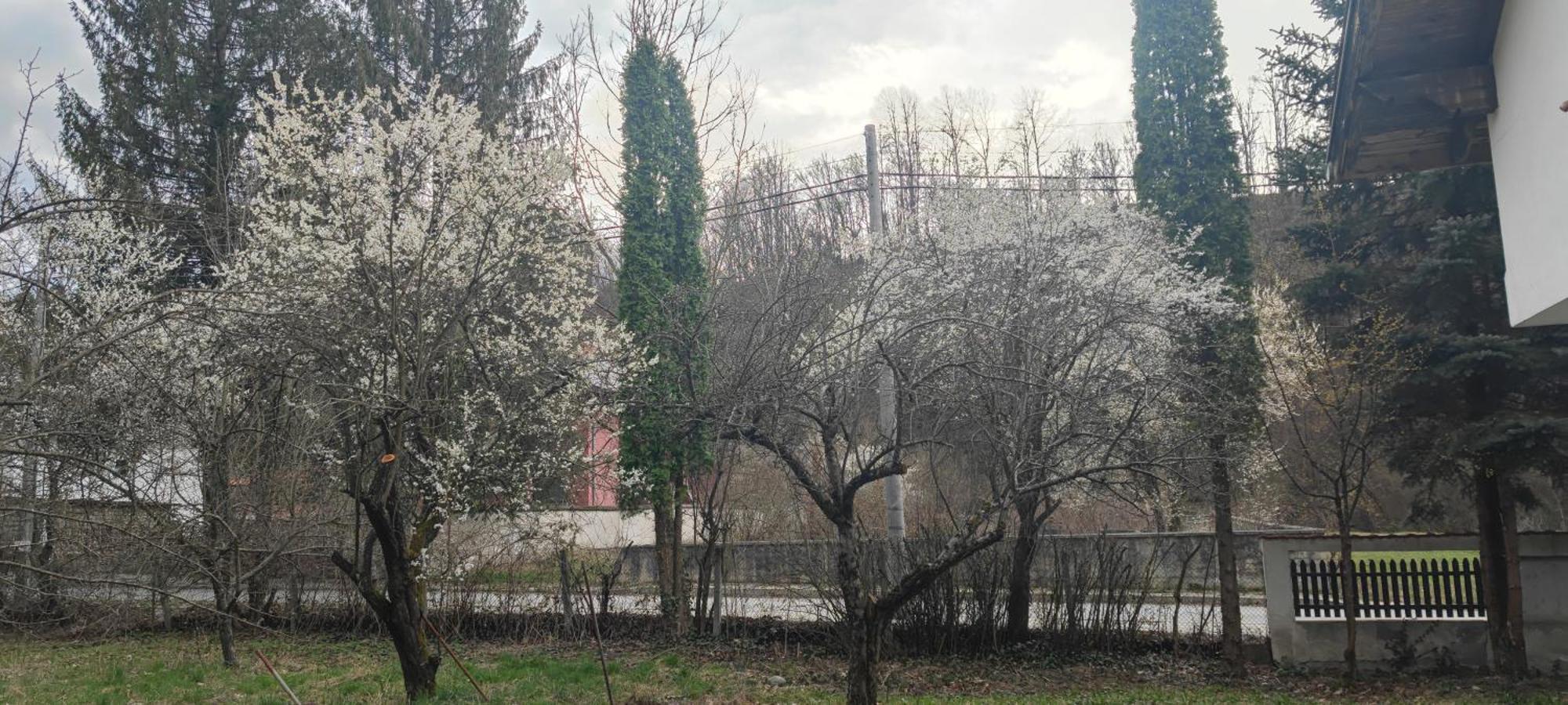 Хан Костина - Han Kostina Ribarica Exterior photo